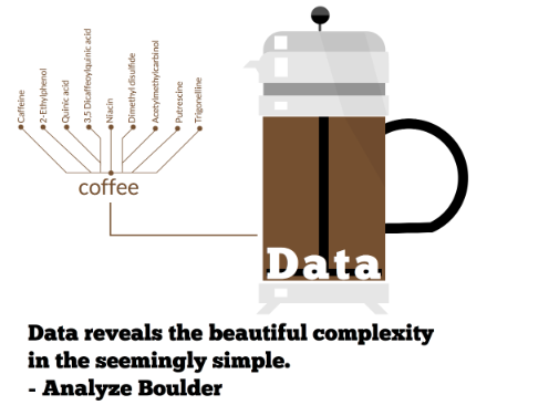 Snapshot of an element in the Analyze Boulder flyer.