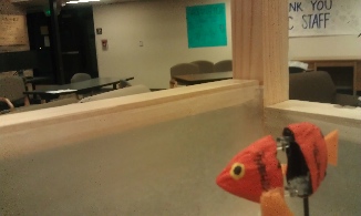 Picture of a fish in an animatronic aquarium for a college course.